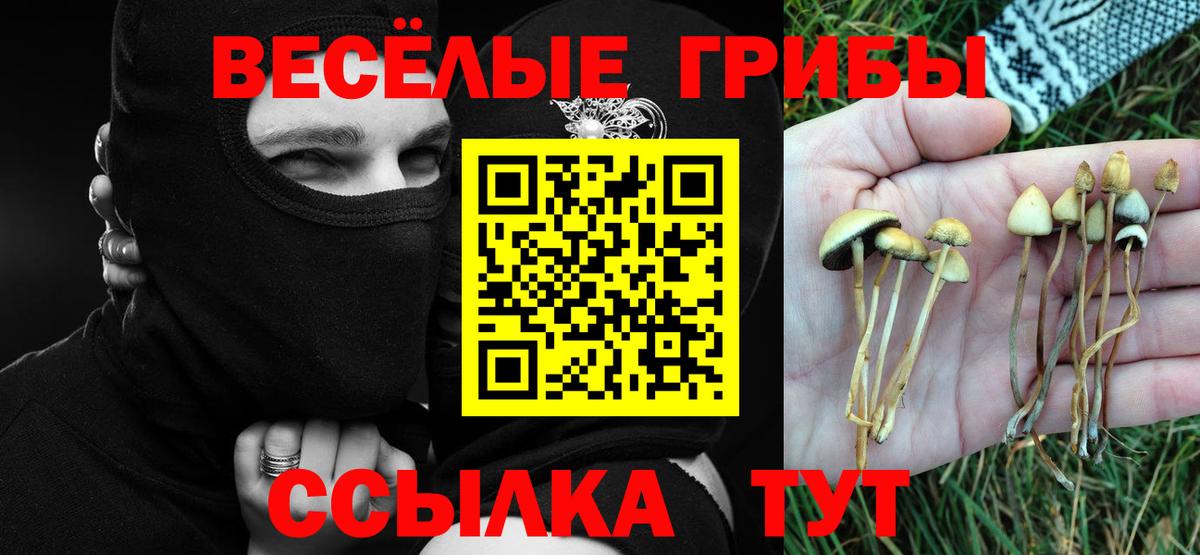 Галлюциногенные грибы ЛСД Красноармейск